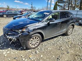2021 Lexus NX 300