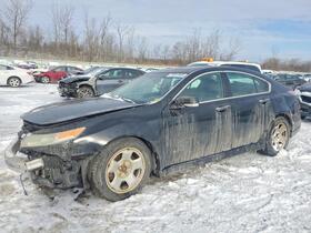 2010 Acura TL