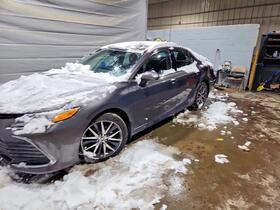 2024 Toyota Camry Hybrid