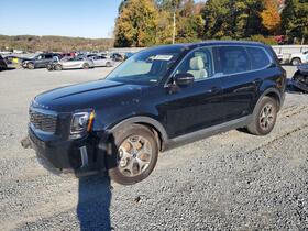 2020 Kia Telluride