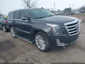 2015 Cadillac Escalade at MI - Belleville: 1GYS4NKJ2FR