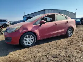 2013 Kia Rio