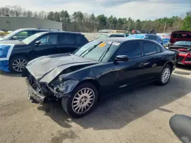 2014 Dodge POLICE