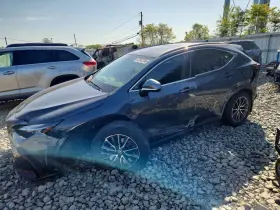 2024 Lexus NX
