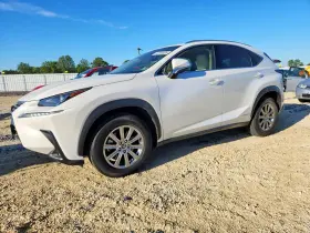 2019 Lexus NX