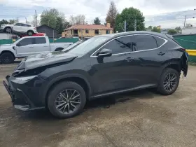 2023 Lexus NX
