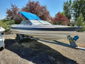 1985 Bayliner Bayliner