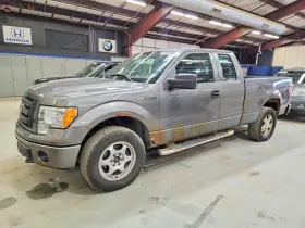 2010 Ford F-150
