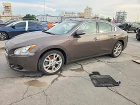 2013 Nissan Maxima