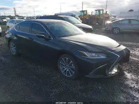 2019 Lexus ES