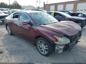 2010 Nissan Maxima