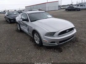 2013 Ford Mustang