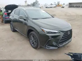 2025 Lexus NX