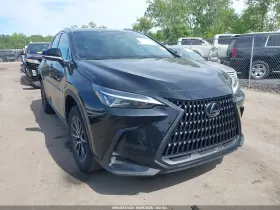 2023 Lexus NX