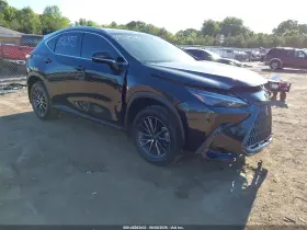 2024 Lexus NX 350