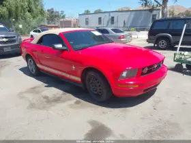 2006 Ford Mustang