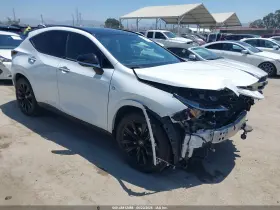 2025 Lexus NX