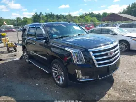 2019 Cadillac Escalade