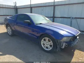 2013 Ford Mustang