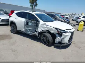 2025 Lexus NX