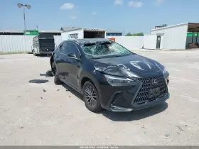 2024 Lexus NX 250