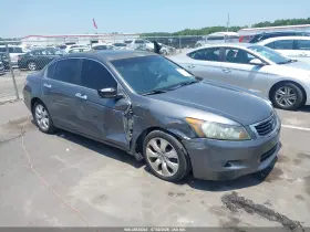 2010 Honda Accord