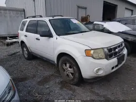 2010 Ford Escape