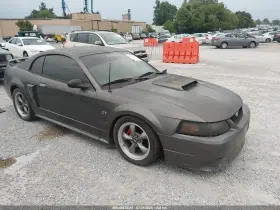 2003 Ford Mustang