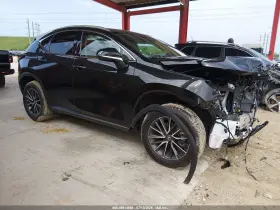 2025 Lexus NX 250