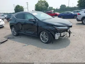 2025 Lexus NX 350h