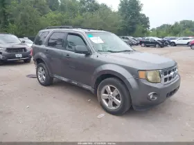 2010 Ford Escape