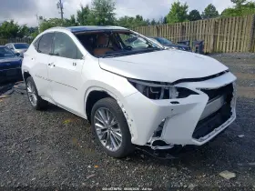 2025 Lexus NX