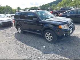 2008 Ford Escape