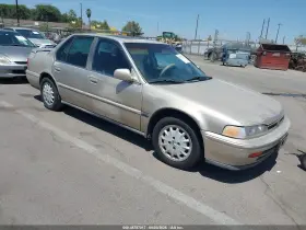 1993 Honda Accord