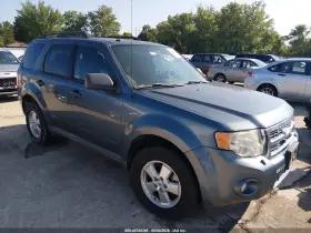 2010 Ford Escape
