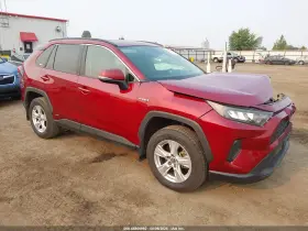 2019 Toyota RAV4 Hybrid