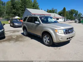 2010 Ford Escape
