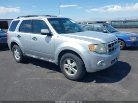 2011 Ford Escape