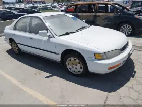 1996 Honda Accord