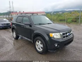 2011 Ford Escape