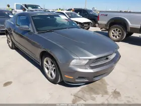 2010 Ford Mustang