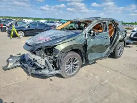 2025 Lexus NX 250