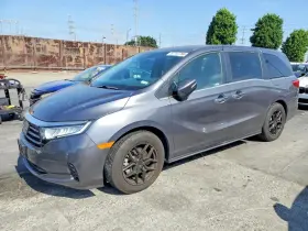 2024 Honda Odyssey