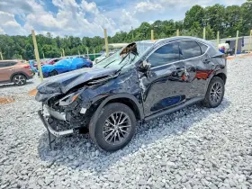 2024 Lexus NX