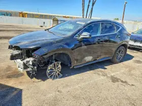 2024 Lexus NX 350h