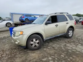 2010 Ford Escape