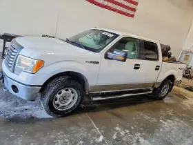 2010 Ford F-150