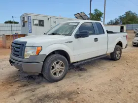 2010 Ford F-150