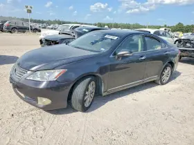 2010 Lexus ES