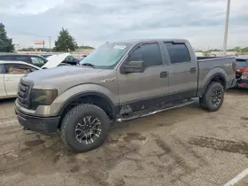 2010 Ford F-150